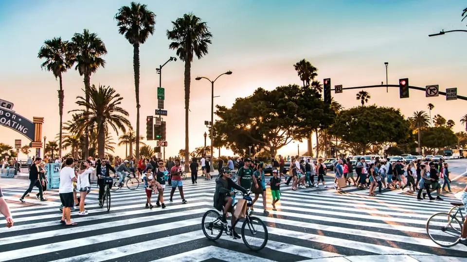 Palm trees and a crossing at Santa Monica in Los Angeles
